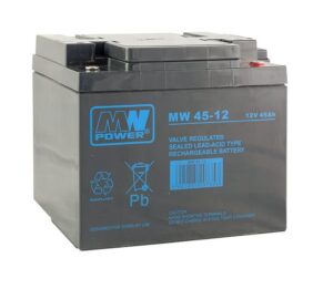 akumulator AGM 12V/45Ah, 198*166*171 (T16)