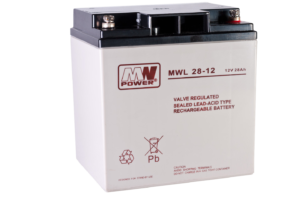 akumulator AGM 12V/28Ah, 166*125*175 (M5)