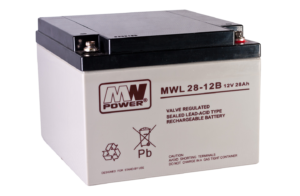 akumulator AGM 12V/28Ah, 166*175*125 (M5)