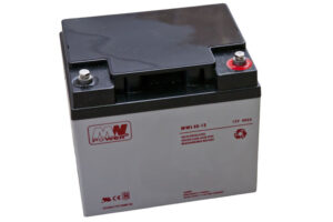 akumulator AGM 12V/40Ah 196*165*170 (T16)