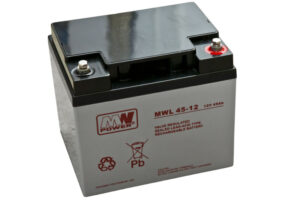 akumulator AGM 12V/45Ah 196*165*170 (T16)