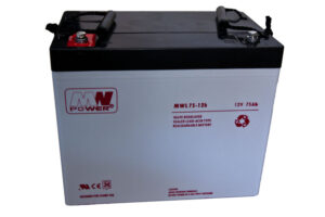 akumulator AGM 12V/75Ah, 260*168*216 (T16)