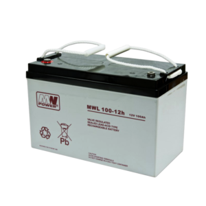 akumulator AGM 12V/100Ah 330*173*220 (T60)