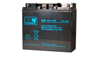 akumulator AGM 12V/18Ah, 181*77*167 (T3)